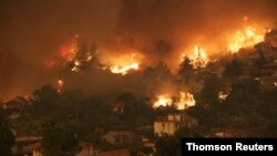 그리스 에비아섬에서 산불이 타고 있다. 