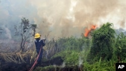 Seorang petugas pemadam kebakaran berusaha memadamkan kebakaran hutan di Pekanbaru, provinsi Riau, Sumatera (foto: dok).