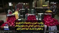 برگشت خوردن محصولات کشاورزی ایران به دلیل آلودگی به سموم پرخطر و نگرانی از مصرف آنها در داخل کشور