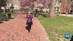 Vashington: O'zbekiston paxtasi yuzasidan qaror