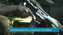 Etazini Jele Èd pou Fòs MMS la 