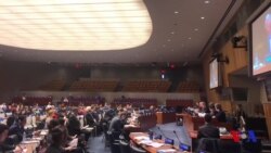 BMTda Orol dengizi muammosi muhokama qilindi