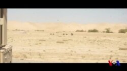 Faryob viloyatida Tolibonga qarshi kurash