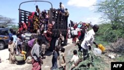 შავი კონტინენტი შიმშილის პირას