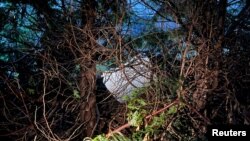 The fuselage plug area of Alaska Airlines Flight 1282 Boeing 737-9 MAX, which was jettisoned and forced the aircraft to make an emergency landing, is seen at a property where it was recovered in Portland, Oregon, Jan. 8, 2024.