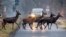 Deer cross a road in a forest of the Taunus region near Frankfurt, Germany, March 13, 2025. 