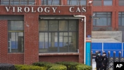 FILE - Security personnel gather near the entrance of the Wuhan Institute of Virology during a visit by the World Health Organization team in Wuhan, China, Feb. 3, 2021. 