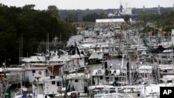 ទូក​មក​ពីសហគមន៍​ជា​ច្រើន​នៅ​ខាង​បណ្ដោយ​ឆ្នេរ​ បាន​មក​ចត​នៅ​ក្នុង​ព្រែក​ Violet ដើម្បី​សុវត្ថិភាព​ ក្នុង​ក្រុង Violet រដ្ឋ Louisiana ដើម្បី​ត្រៀម​ការពារ​ខ្លួនពី​ព្យុះ​ Nate ដែល​គេ​រំពឹង​ថា​បង្ក​ឲ្យ​មាន​ការ​បាក់​ដី កាលពី​ថ្ងៃទី​៧ ខែ​តុលា។