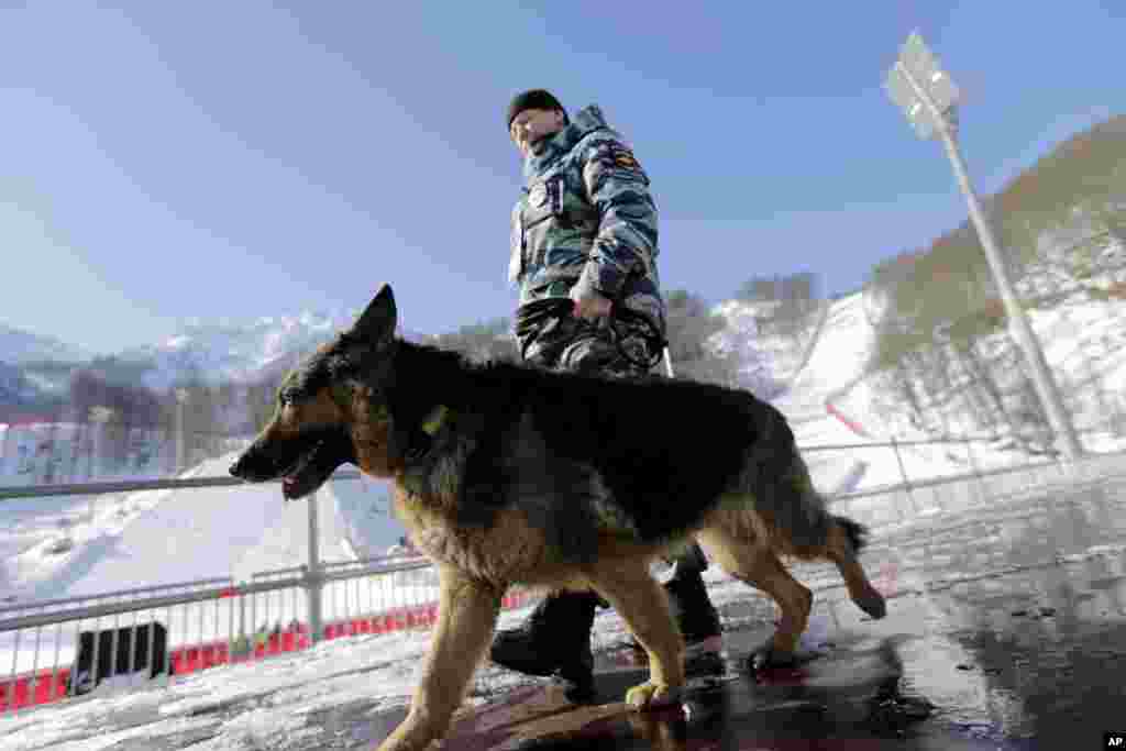 Pasukan keamanan Rusia K-9 berpatroli bersama anjingnya di garis finish jalur ski Alpine menjelang Olimpiade Musim Dingin 2014, 4 Februari 2014.