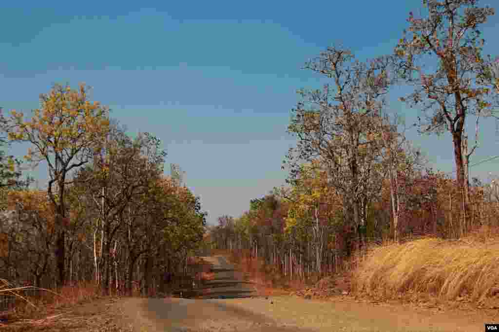 ផ្លូវ​មួយ​ទៅ​កាន់​ក្នុង​ស្រុក​ពេជ្រាដា និង​ស្រុក​កោះ​ញែក​​ ខេត្ត​មណ្ឌល​គិរី កាល​ពី​ថ្ងៃ​ទី​១០ ខែ​មីនា ឆ្នាំ​២០១៥។