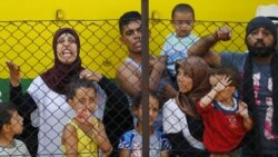 Qochoqlar inqirozi va Turkiya, Behzod Muhammadiy