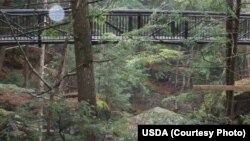 Forest cover, trail density and opportunity for recreation help lure visitors to parks and public lands.