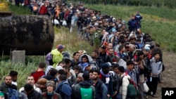 Migrants line up after crossing a border from Croatia near the village of Zakany, Hungary, Sept. 26, 2015.