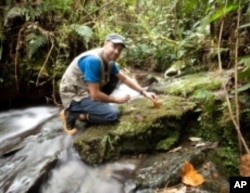 Robin Moore on an expedition in search of the Mesopotamia Beaked tToad, last seen in Colombia in 1914.