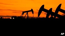 প্রতীকী ছবি