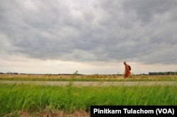 Buddhist monk Sutham Nateetong walks along the road outside Arcola, IN. June 8, 2019.