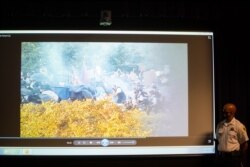 First deputy superintendent Eric Carter watches as a video from the Christopher Columbus protest in Grant Park on July 17, is shown to the media at the Chicago Police Department Headquarters, July 20, 2020. (Credit: Anthony Vazquez/Chicago Sun-Times)