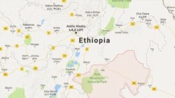 ኣብ ዞባ ባሌ ብዘጋጠመ መጥቓዕቲ 16 ሰባት ምሟቶም ተገሊጹ