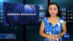 Amerika Manzaralari: Tramp, ob-hayot, elektromobillar