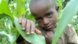 የተ.መ.ድ. ኢትዮጵያ ውስጥ ሊደርስ ይችላል ለተባለው ረሀብ አስቸኳይ ምላሽ እንዲሰጥ አሳሰበ