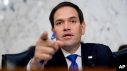 마르코 루비오 공화당 상원의원.