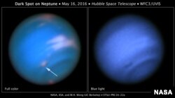 A dark vortex was spotted on Neptune.