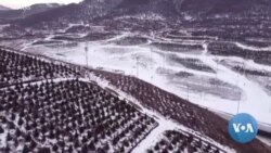 Artificial Snow Warnings as Beijing Olympics Threatened by Climate Change