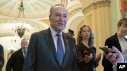 Senate Minority Leader Chuck Schumer, D-N.Y., is met by reporters as he arrives at the Capitol in Washington, Dec. 22, 2018.