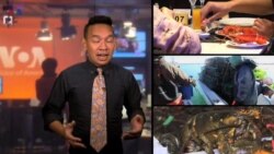 Imlek Membawa Berkah Bagi Nelayan Lobster AS