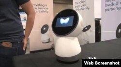 Jibo, social robot on display at the Robot Ranch.