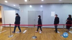 Pandemiya paytida saylov qanday o’tishi kerak?