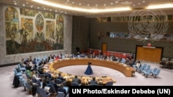 شورای امنیت سازمان ملل متحد آرشیو