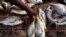 Fish for sale in Dakar, Senegal (2012 photo)