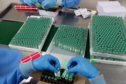 រូបឯកសារ៖ អ្នកជំនាញម្នាក់កំពុងវេចខ្ចប់វ៉ាក់សាំងបង្ការជំងឺកូវីដ១៩ AstraZeneca នៅវិទ្យាស្ថានស្រាវជ្រាវ Serum ដែលជាមជ្ឈមណ្ឌលផលិតវ៉ាក់សាំងដ៏ធំមួយក្នុងពិភពលោក នៅក្នុងក្រុង Pune ប្រទេសឥណ្ឌា កាលពីថ្ងៃទី ២១ ខែមករា ឆ្នាំ ២០២១។