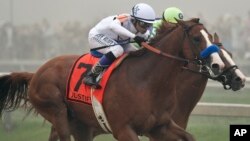 Justify (7), with Mike Smith aboard, runs against Good Magic, with Jose Ortiz atop, in the final stretch of the 143rd Preakness Stakes horse race at Pimlico race track, May 19, 2018, in Baltimore. Justify won the race. 