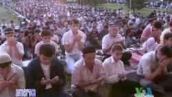 Amerikalik professor taassurotlari