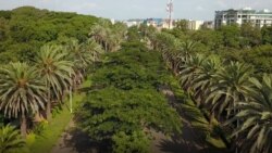  የዐማራ ክልል ግጭትን ለመፍታት የተቋቋመው የሰላም ምክር ቤት የድርድር ጥረት መጀመሩን አስታወቀ 