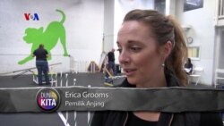 VOA Dunia Kita: Hari Kasih Sayang Hewan Peliharaan (3)