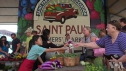 生产当地农产品的城市绿洲