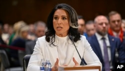 Tulsi Gabard tokom pretresa u Odboru za obaveštajna pitanja američkog Senata (Foto: AP/John McDonnell)