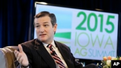 美国参议员克鲁兹（资料照片）