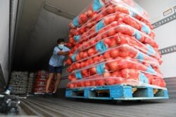 "FarmLink" guruhi a'zosi Jeyms Kanoff ish ustida