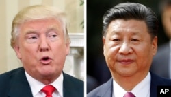 President-elect Donald Trump (left) and China's President Xi Jinping (right)