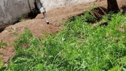 La 8ème édition du Salon international de l'agriculture de Lomé