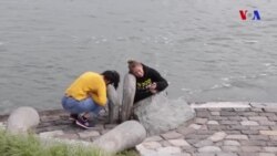 Borularla okeanı dinləmək