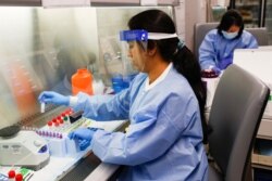 FILE - A laboratory technician prepares COVID-19 patient samples for semi-automatic testing at Northwell Health Labs, March 11, 2020, in Lake Success, New York.