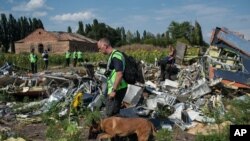 Penyelidik pesawat Malaysia Airlines memeriksa lokasi jatuhnya pesawat MH17 di Donetsk, Ukraina timur.