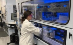 FILE - Researchers work on a potential vaccine for the coronavirus disease at Pfizer's laboratory in Pearl River, N.Y., in this handout photo provided May 5, 2020.