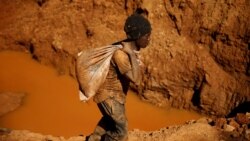 Ingxoxo Esiyenze LoMnu. Prince Dubeko Sibanda