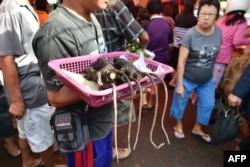 Seorang penjual menawarkan tikus panggang kepada para pembeli di sebuah pasar di Tomohon, Sulawesi Utara, 18 Februari 2017. (Foto: AFP)
